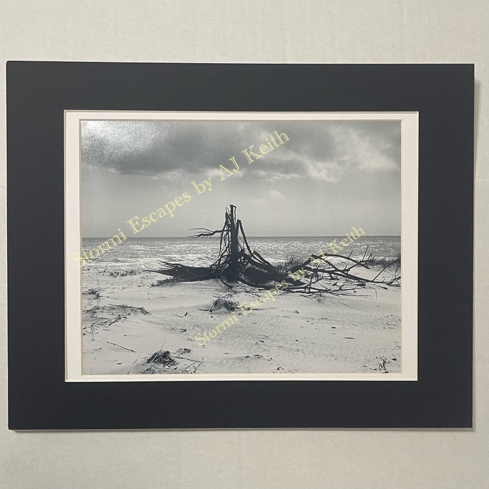 Mexico Beach, FL on the Gulf of Mexico  
photo ready to frame and hang